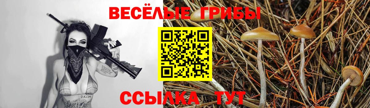 Псилоцибиновые грибы Cubensis Архангельск
